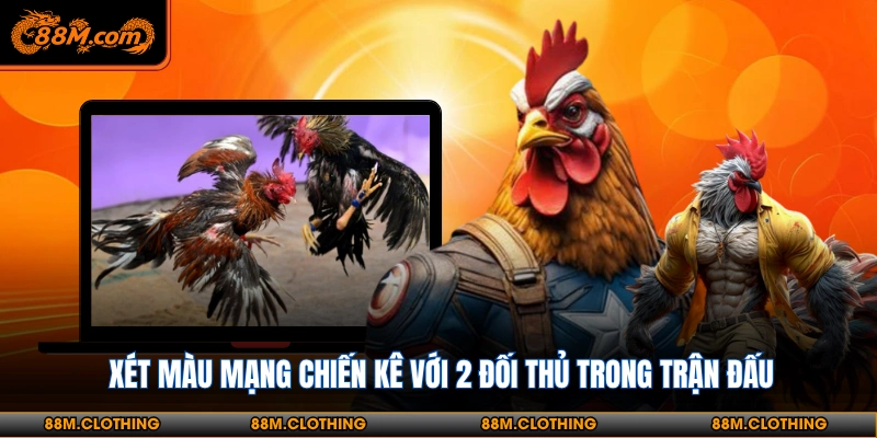 Nhận biết màu gà chiến theo hành tương ứng