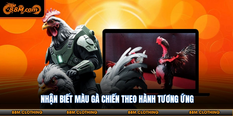 Bảng màu đá gà theo ngày