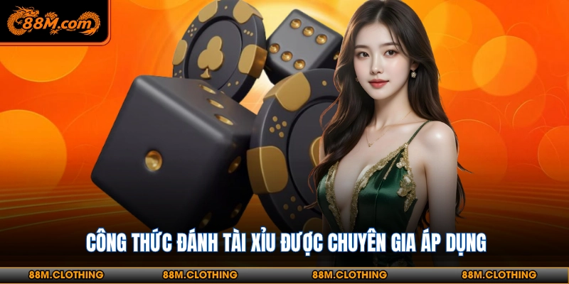 Công thức đánh tài xỉu được chuyên gia áp dụng