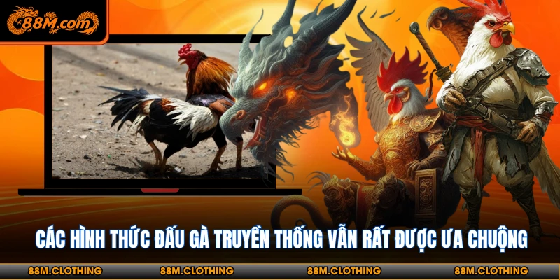 Đá gà 88M có sức hút khó cưỡng với những ai đam mê