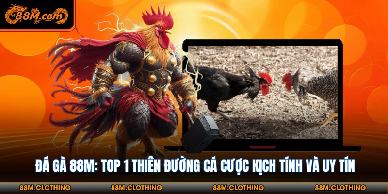 Các hình thức đấu gà truyền thống vẫn rất được ưa chuộng