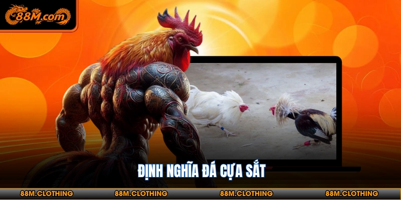 Quy tắc đá gà cựa sắt cần ghi nhớ