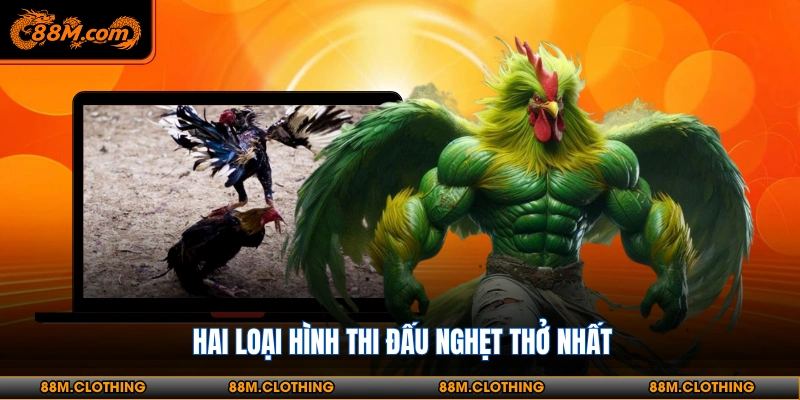 Tìm hiểu sơ lược về giải đấu kê C1