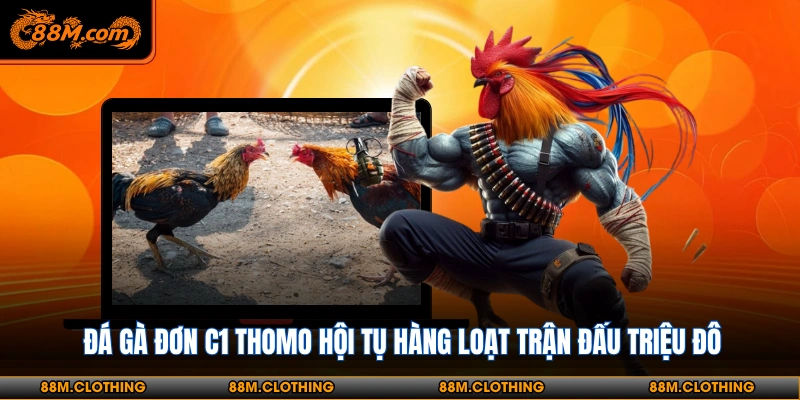 Cơ cấu tổ chức đá gà đơn C1 Thomo chuyên nghiệp