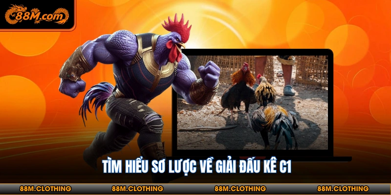 Đá gà đơn c1 thomo