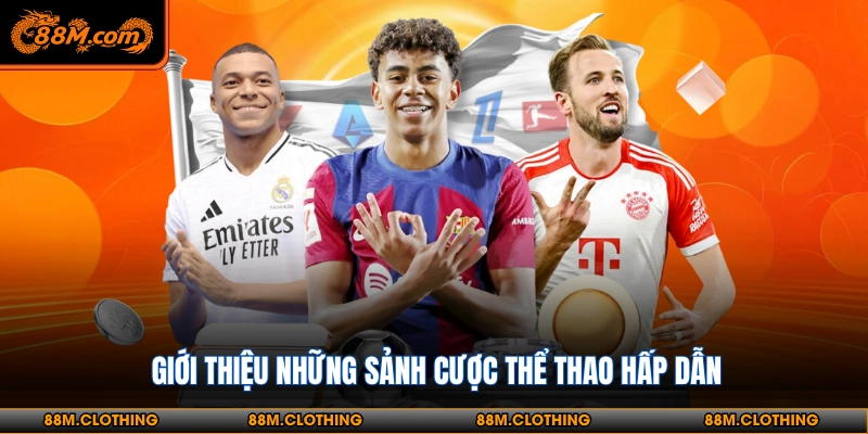 Khái quát về sảnh thể thao 88M